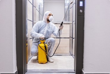 Дезинфекция